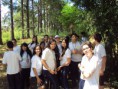 /album/galeria-de-fotos/agrofloresta-28-jpg/